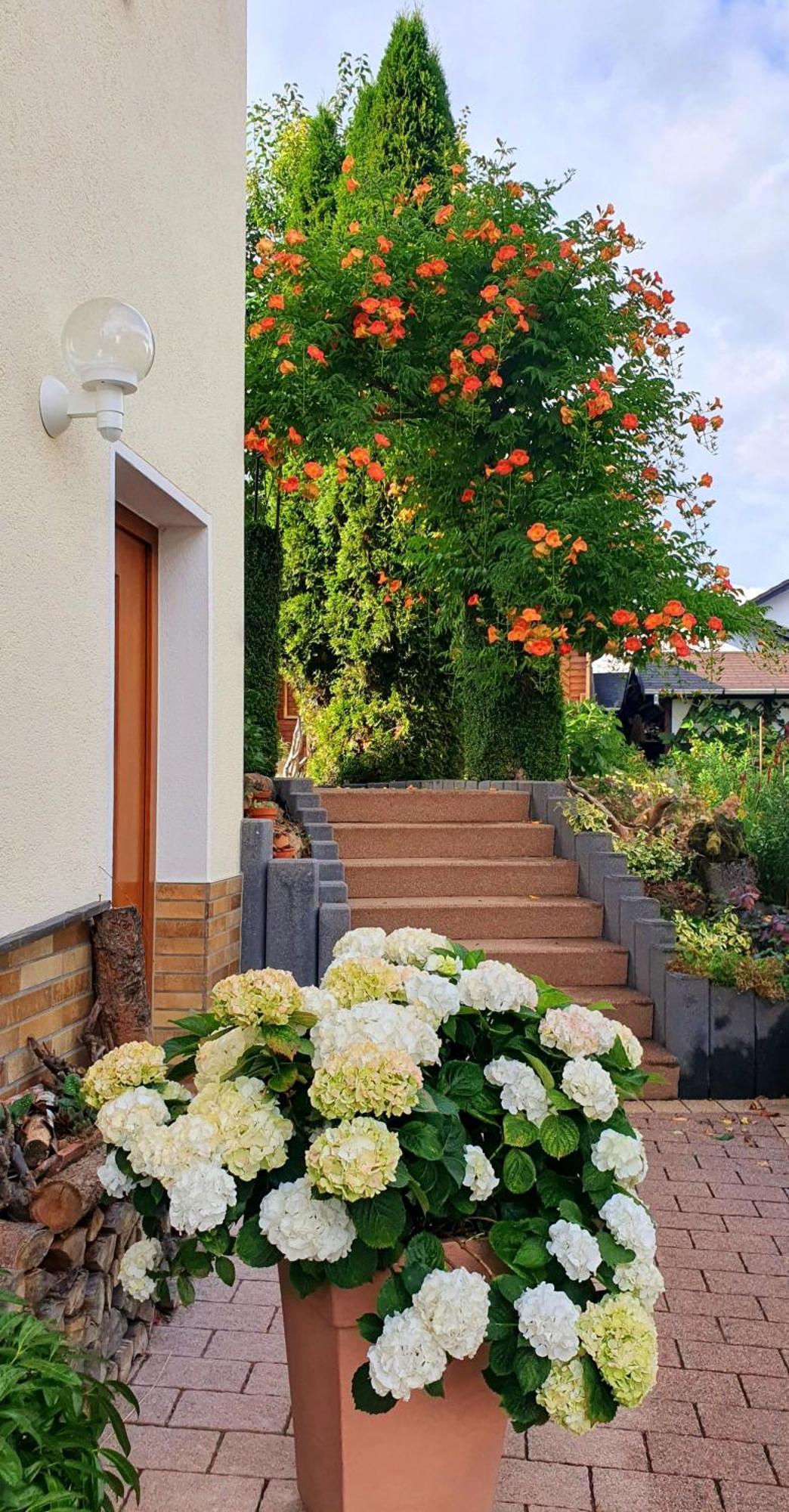 Gaestezimmer Weinberg Steinau an der Straße エクステリア 写真